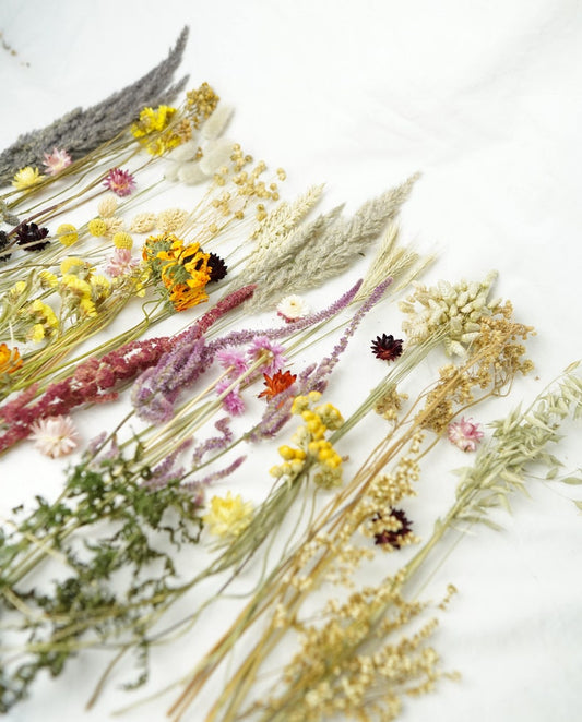 Organic Dried flower box