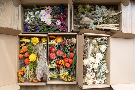 Dried Flower Mix Craft Boxes